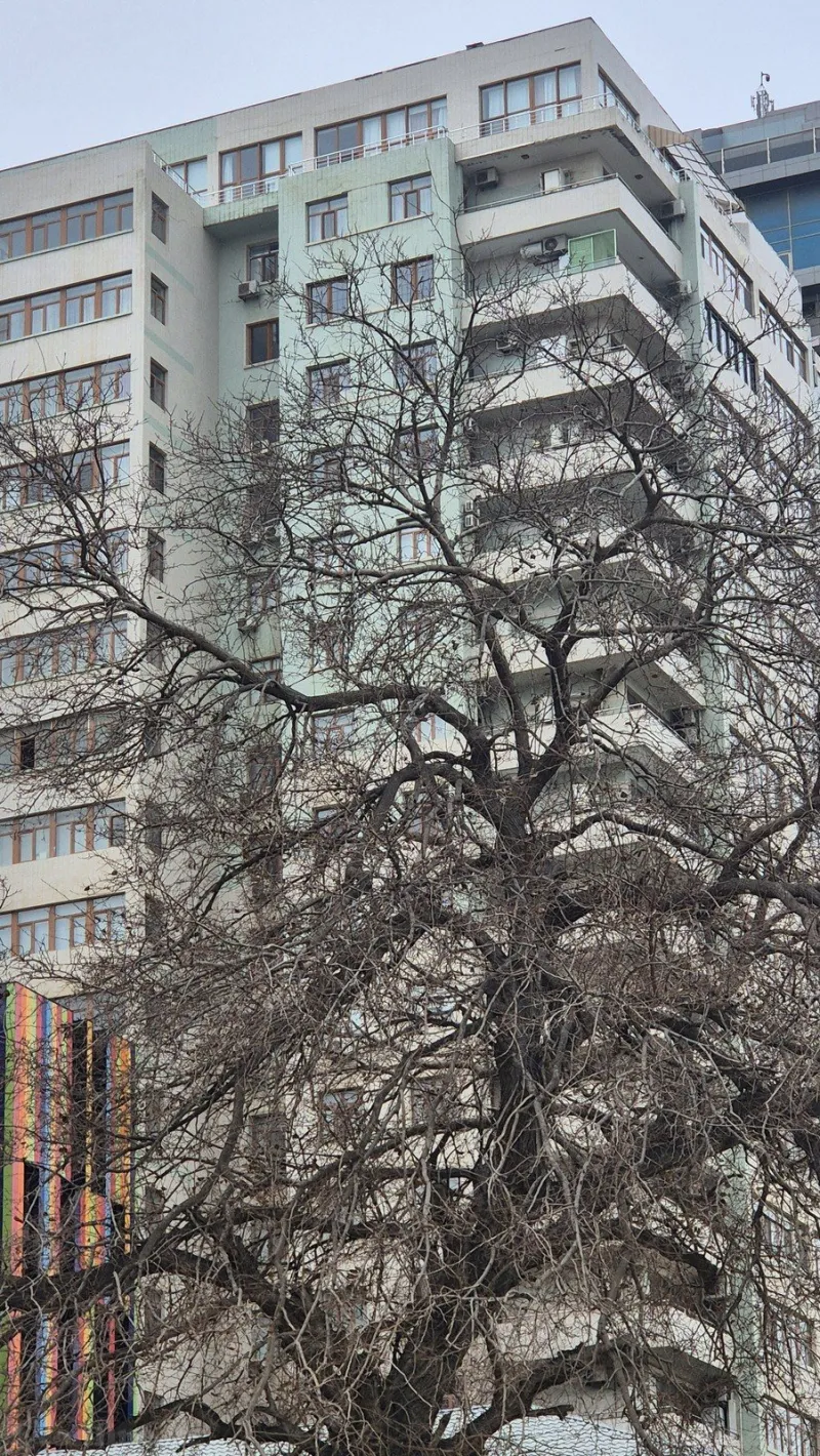 Satılır 4 otaqlı Mənzil Yeni tikili 220 m² 28 May m.