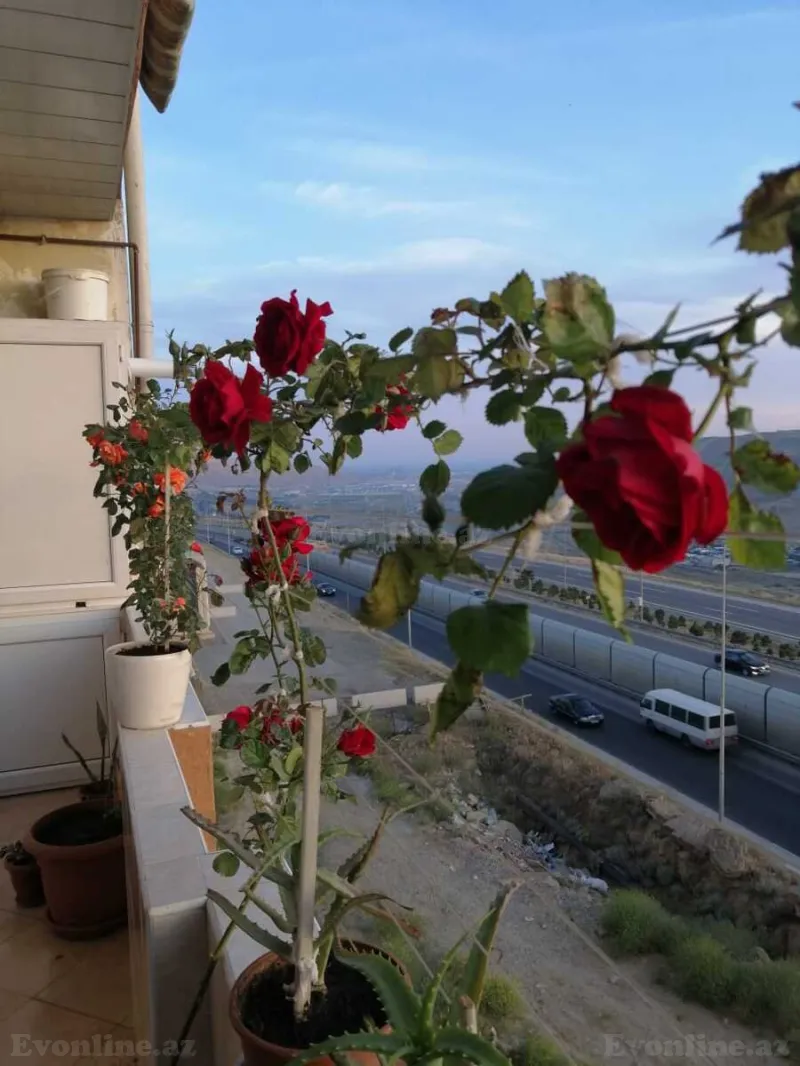 Kirayə verilir 2 otaqlı Mənzil Yeni tikili 80 m² Yeni Yasamal - şəkil 14