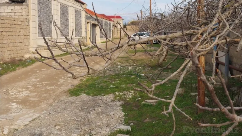 Satılır Torpaq 12 sot Sabunçu r. - şəkil 2