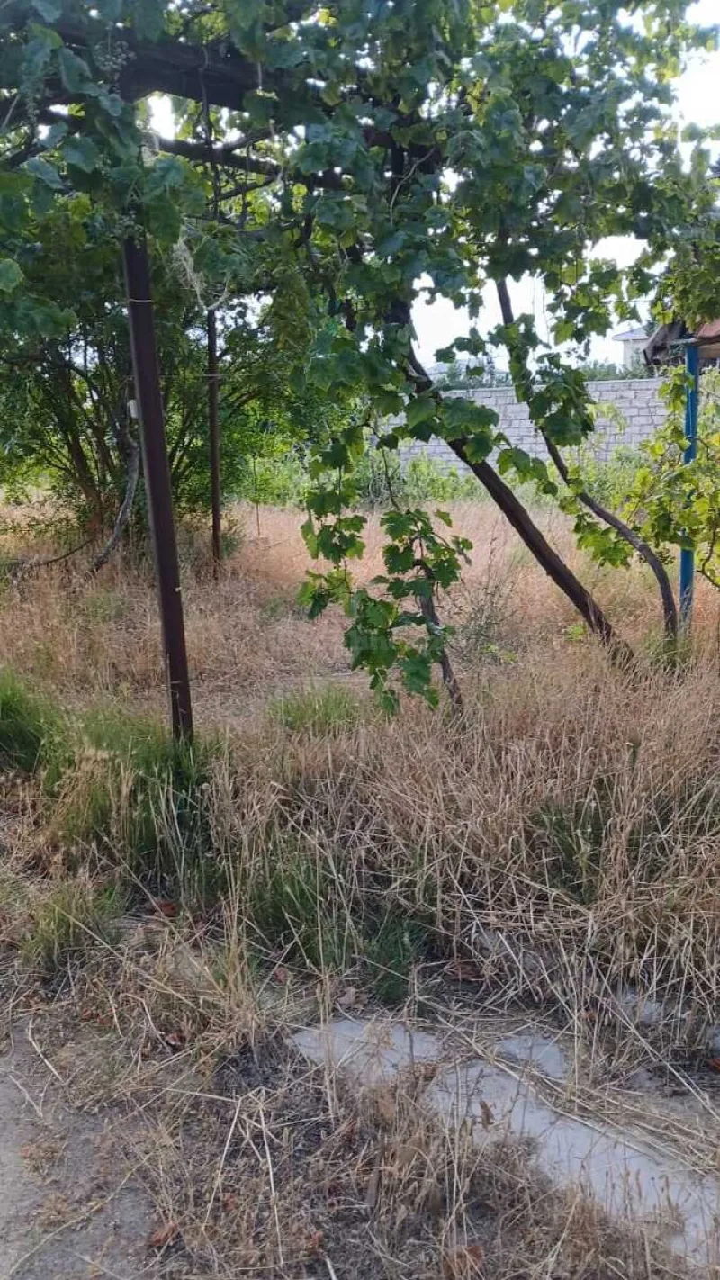 Satılır Torpaq 25 sot Bilgəh