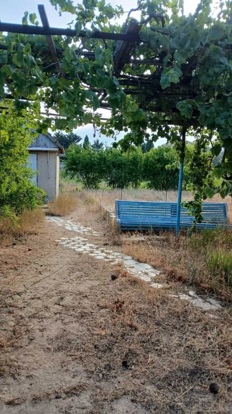 Satılır Torpaq 25 sot Bilgəh - şəkil 3