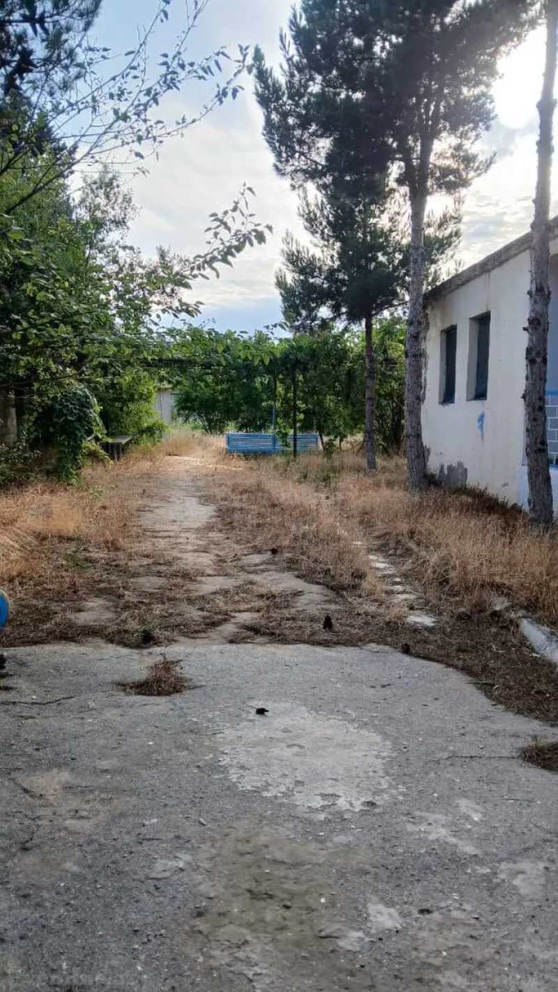 Satılır Torpaq 25 sot Bilgəh - şəkil 5