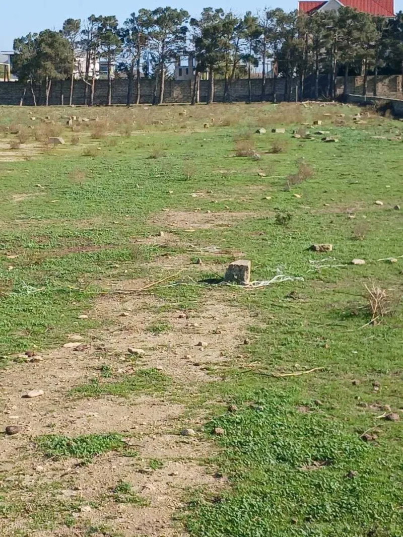 Satılır Torpaq 50 sot Buzovna - şəkil 2