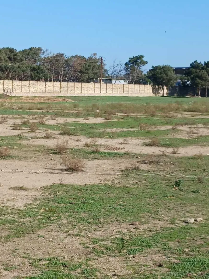 Satılır Torpaq 50 sot Buzovna - şəkil 3