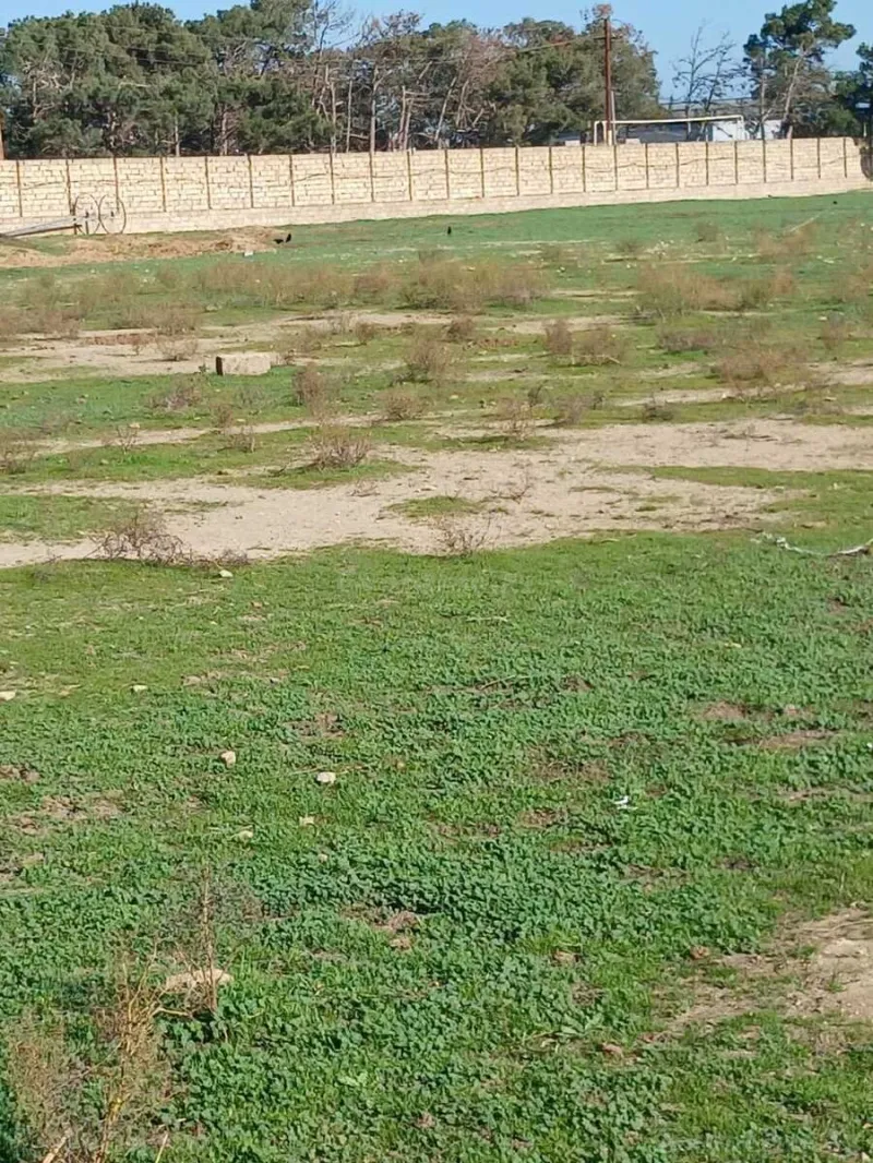 Satılır Torpaq 50 sot Buzovna - şəkil 4