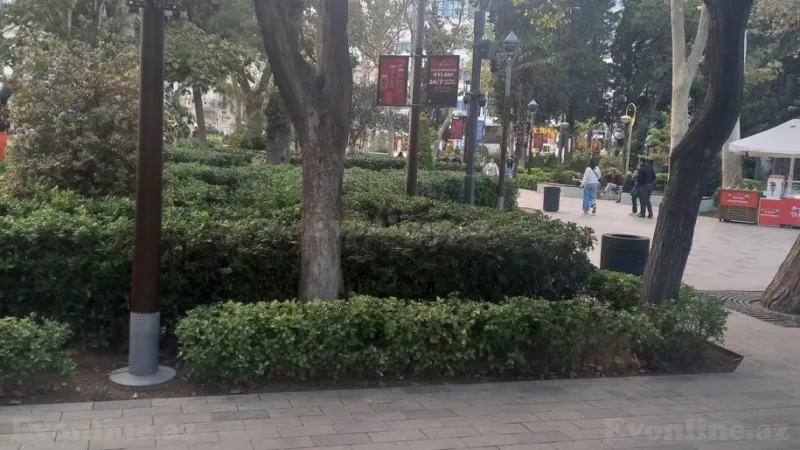 Kirayə verilir Obyekt 580 m² Sahil m. - şəkil 7