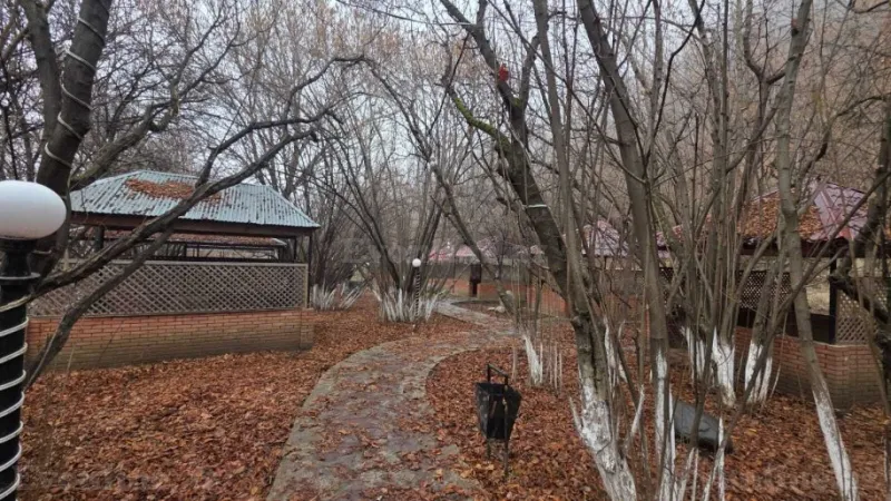 Satılır Obyekt 1600 m² Göygöl - şəkil 7