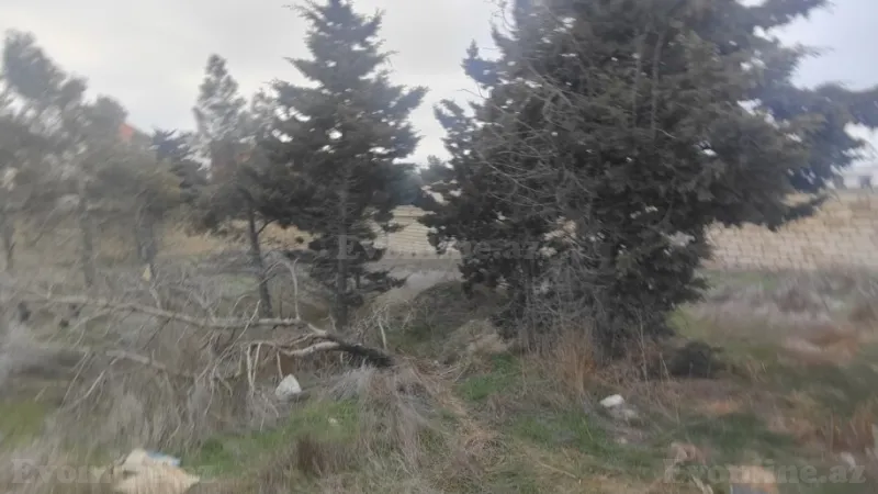 Satılır Torpaq 6 sot Nizami r. - şəkil 3