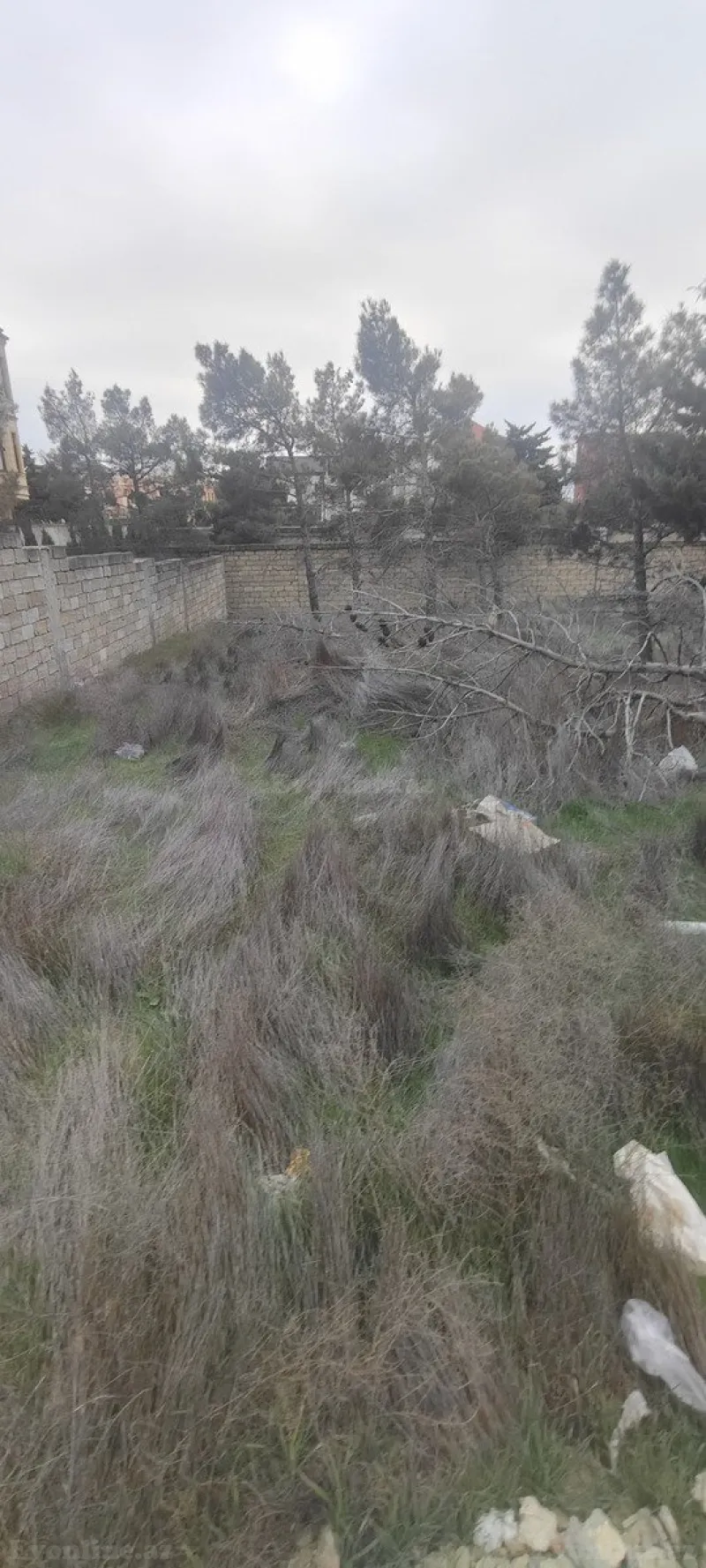 Satılır Torpaq 6 sot Nizami r. - şəkil 4