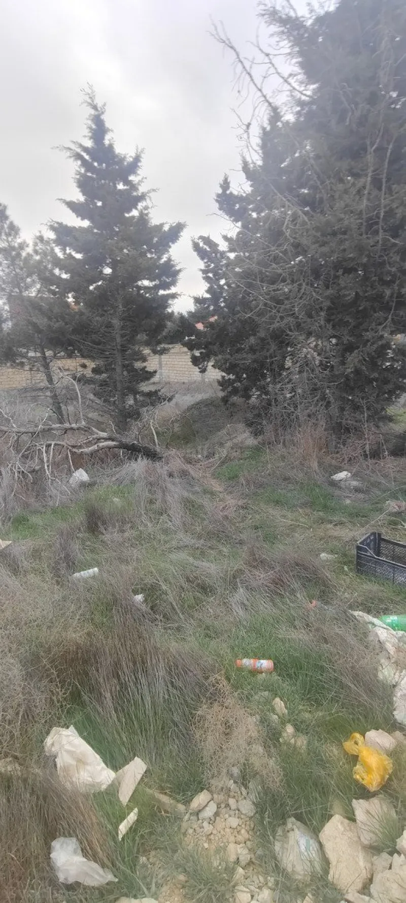 Satılır Torpaq 6 sot Nizami r. - şəkil 5