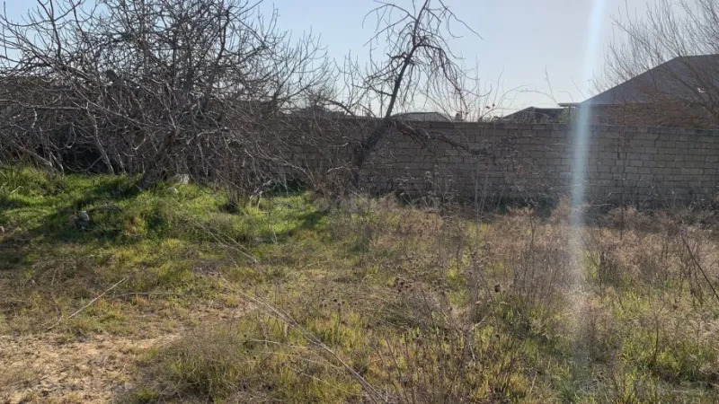 Satılır Torpaq 40 sot Nardaran - şəkil 3