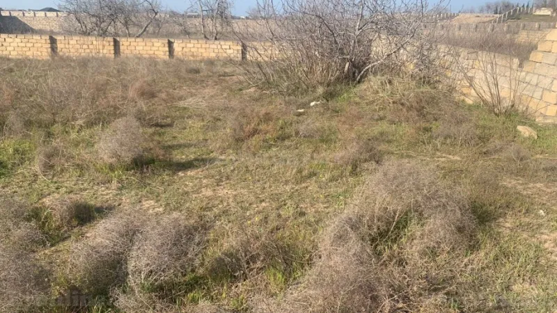 Satılır Torpaq 40 sot Nardaran - şəkil 4