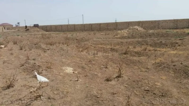 Satılır Torpaq 18 sot Ələt - şəkil 6