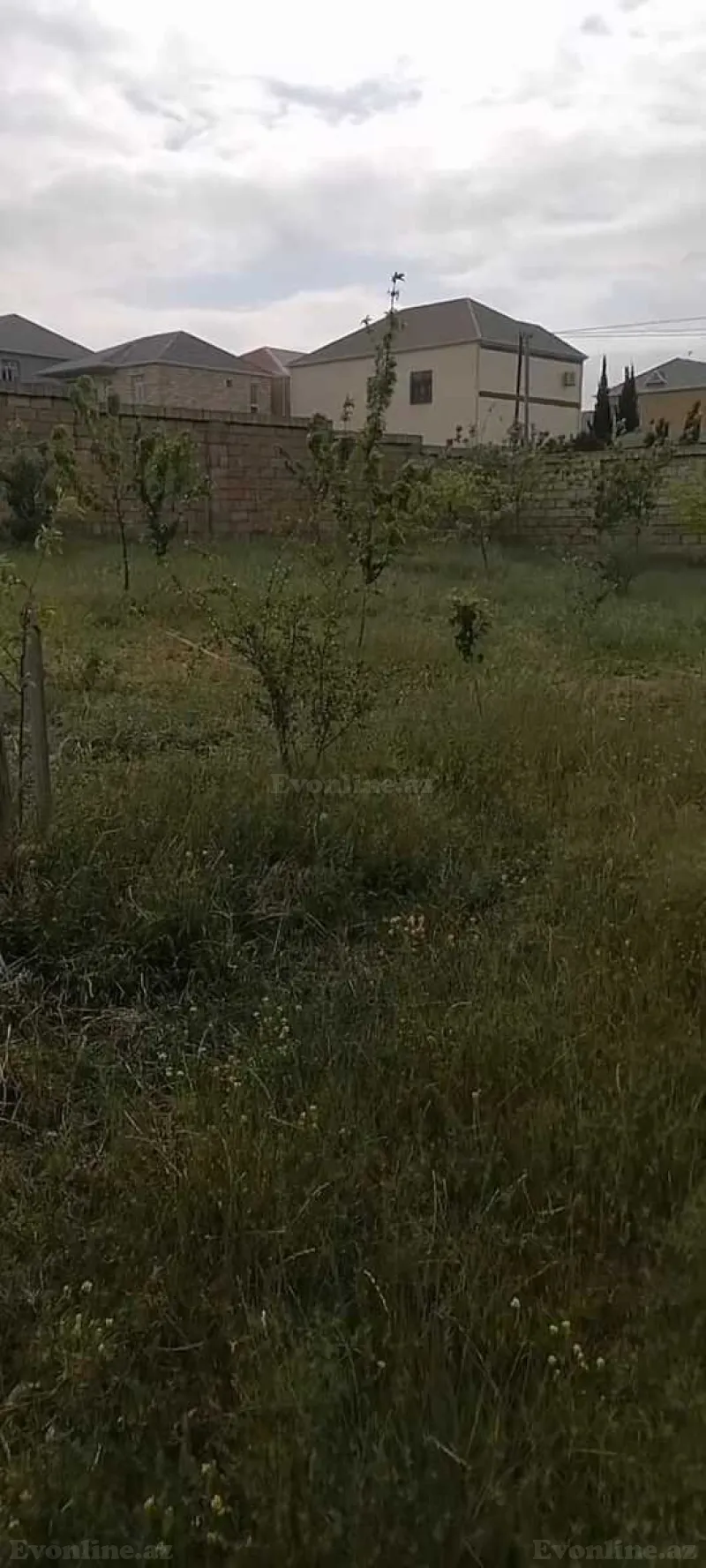 Satılır Torpaq 8 sot Masazır - şəkil 2