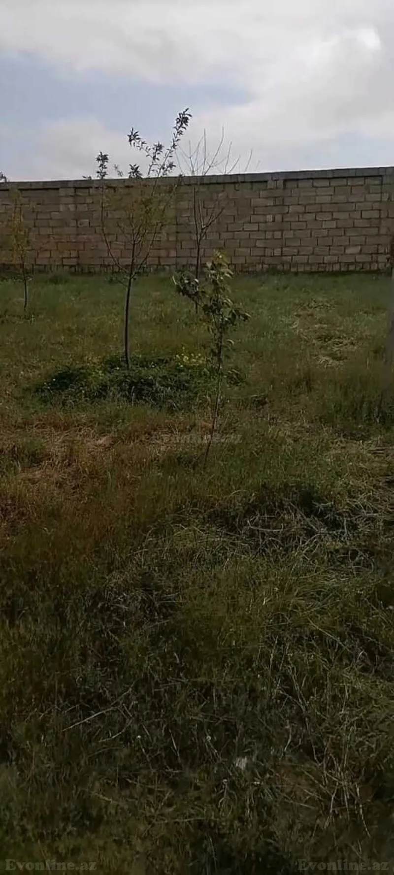 Satılır Torpaq 8 sot Masazır - şəkil 4