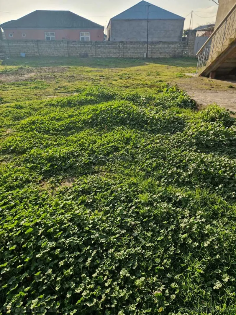 Satılır Torpaq 12 sot Yeni Ramana - şəkil 8