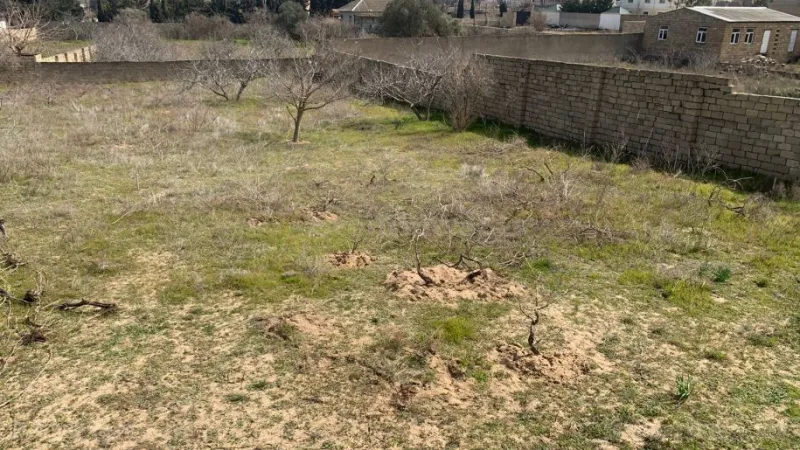 Satılır Torpaq 21 sot Nardaran - şəkil 2