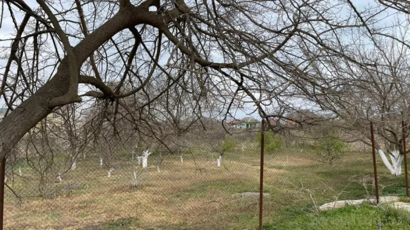 Satılır Torpaq 6 sot 6-cı mikrorayon - şəkil 3