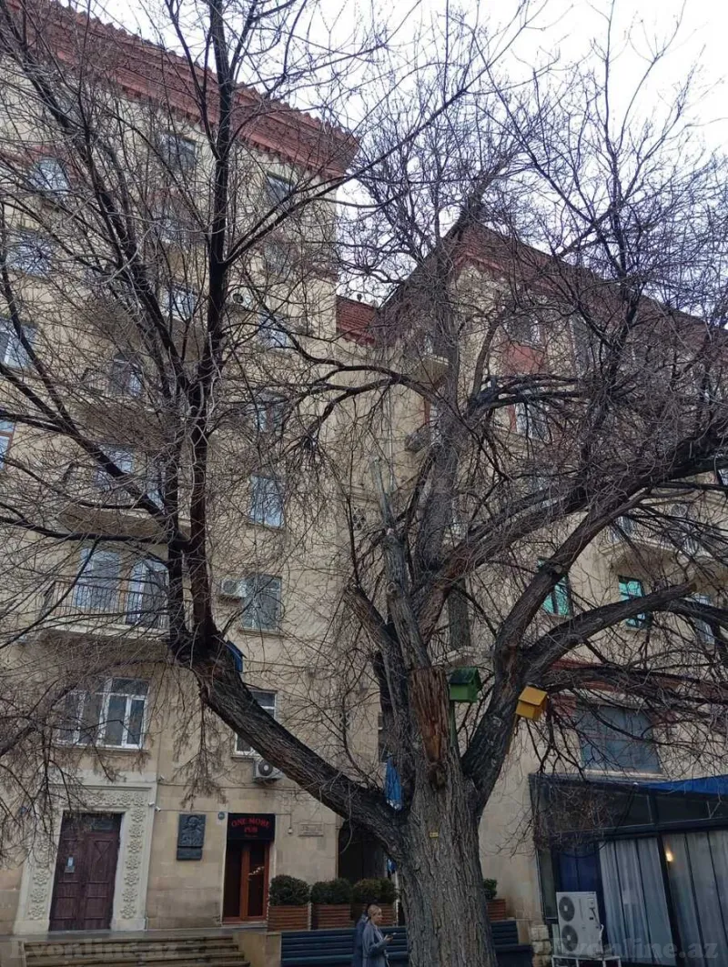 Satılır 2 otaqlı Mənzil Köhnə tikili 80 m² Sahil m. - şəkil 3