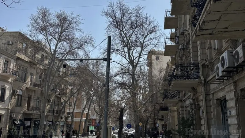 Kirayə verilir Obyekt 140 m² Sahil m. - şəkil 6