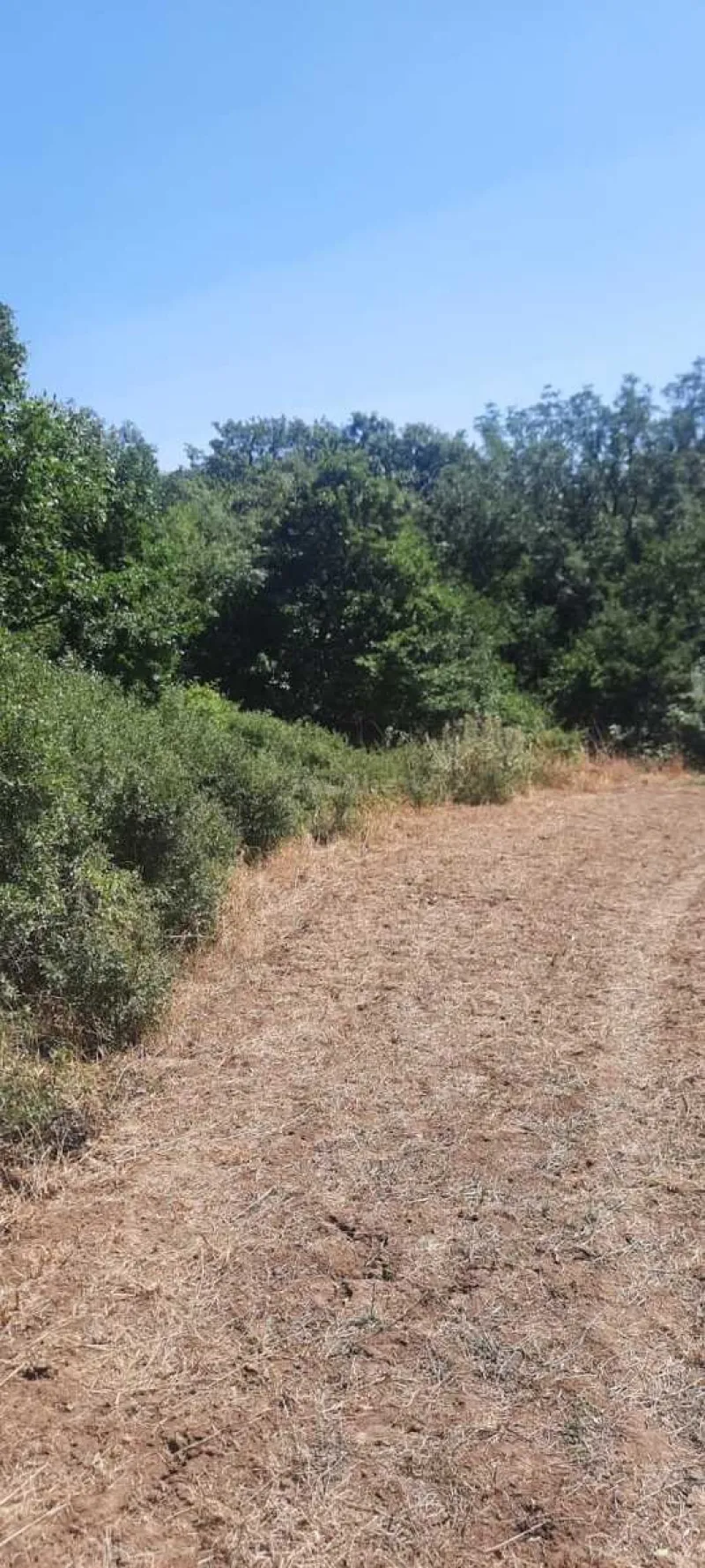 Satılır Torpaq 50 sot Şabran - şəkil 4