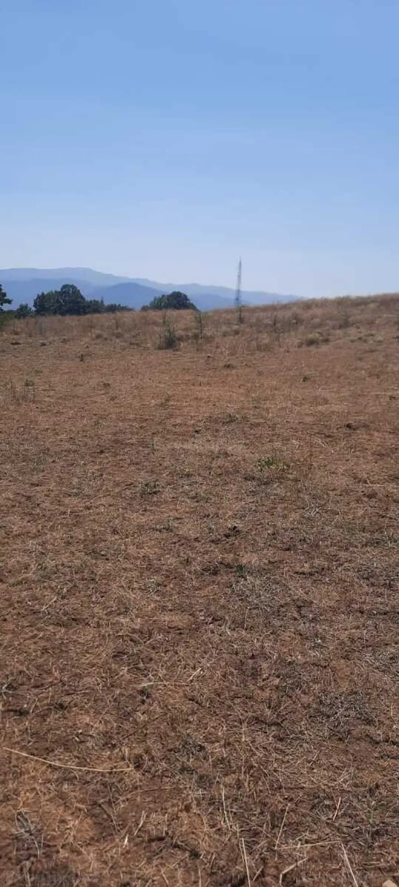 Satılır Torpaq 50 sot Şabran - şəkil 5