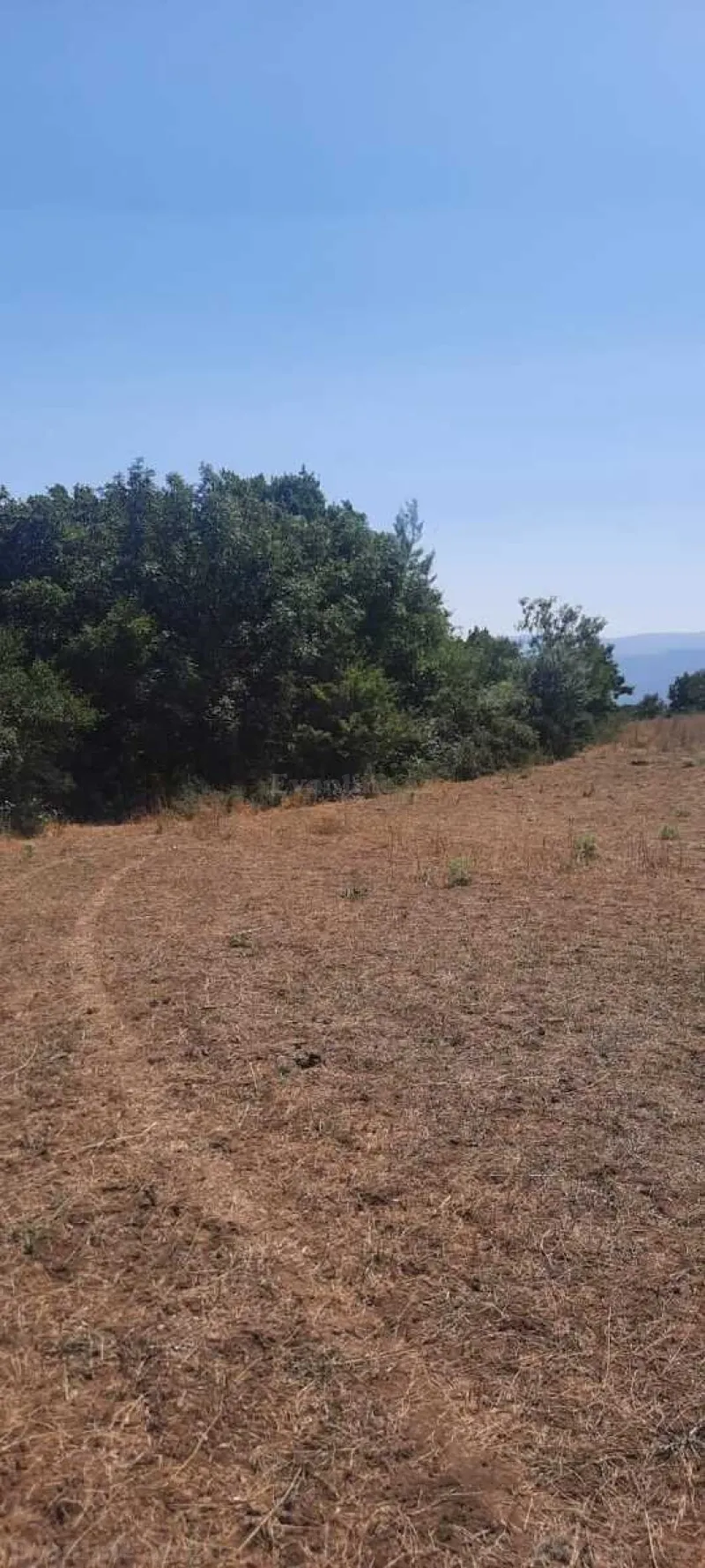 Satılır Torpaq 50 sot Şabran - şəkil 6