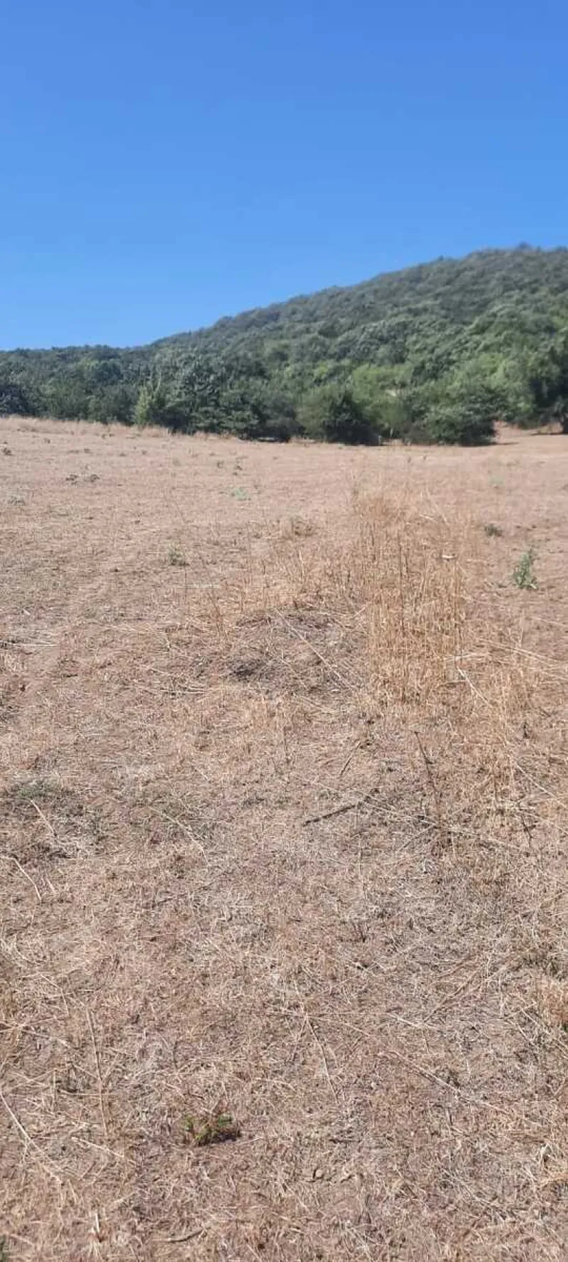 Satılır Torpaq 50 sot Şabran - şəkil 7