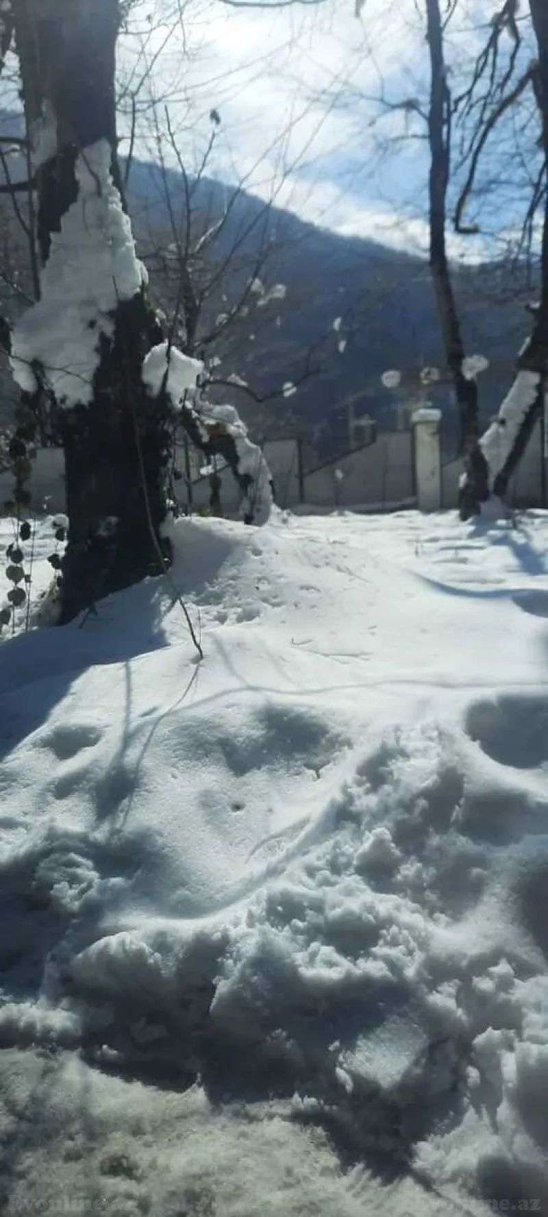 Satılır Torpaq 50 sot Şabran - şəkil 11