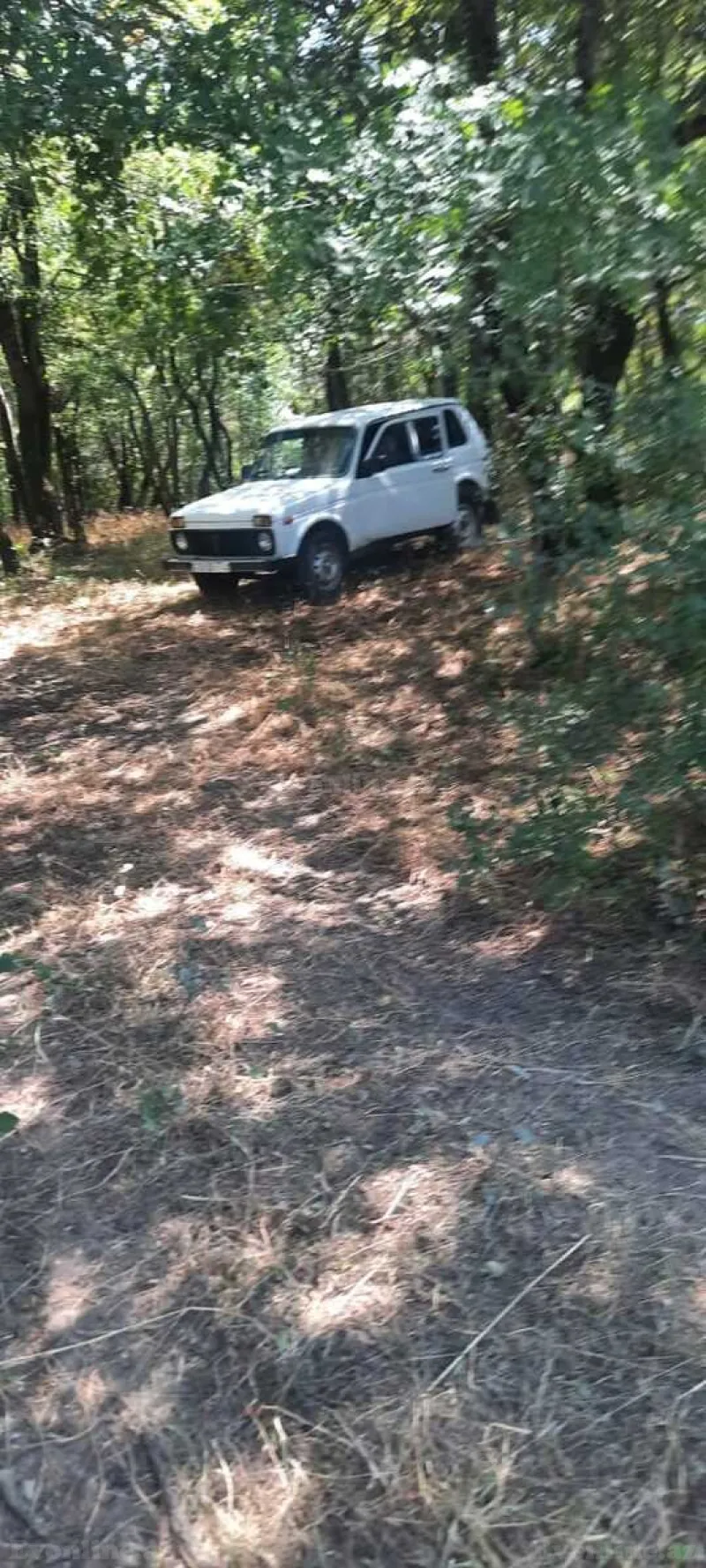 Satılır Torpaq 50 sot Şabran - şəkil 12