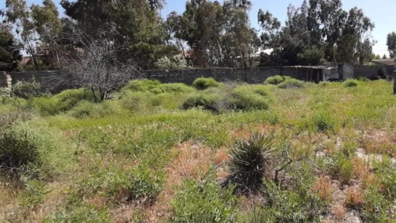 Satılır Torpaq 40 sot Şüvəlan - şəkil 3