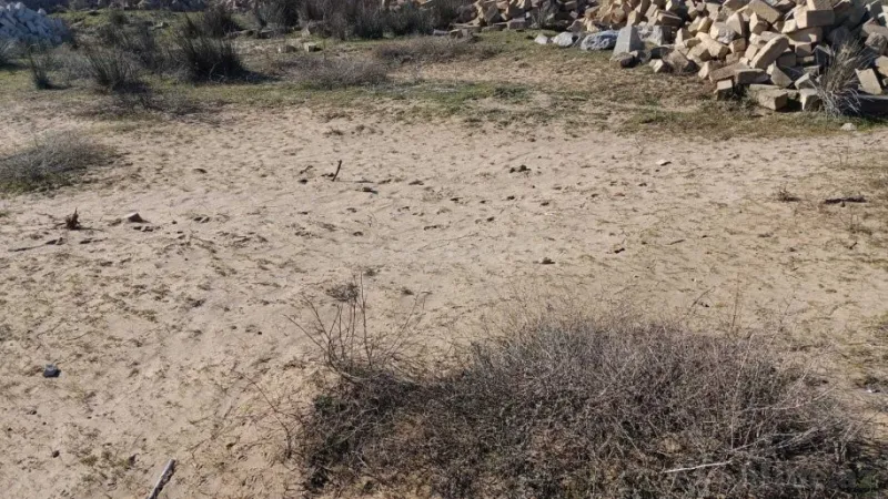 Satılır Torpaq 5 sot Nardaran - şəkil 2