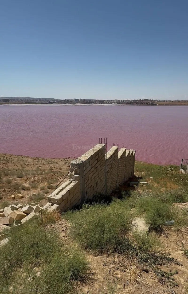 Satılır Torpaq 13 sot Novxanı - şəkil 2