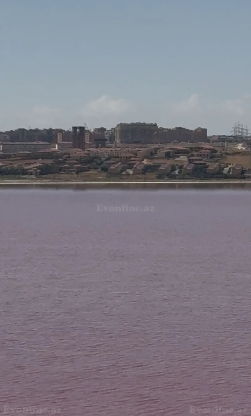 Satılır Torpaq 13 sot Novxanı - şəkil 6