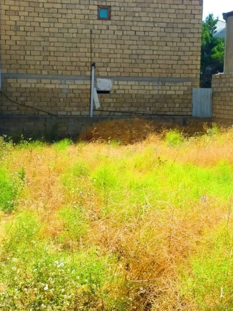 Satılır Torpaq 120 sot Şüvəlan