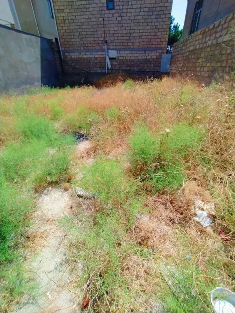 Satılır Torpaq 120 sot Şüvəlan - şəkil 2