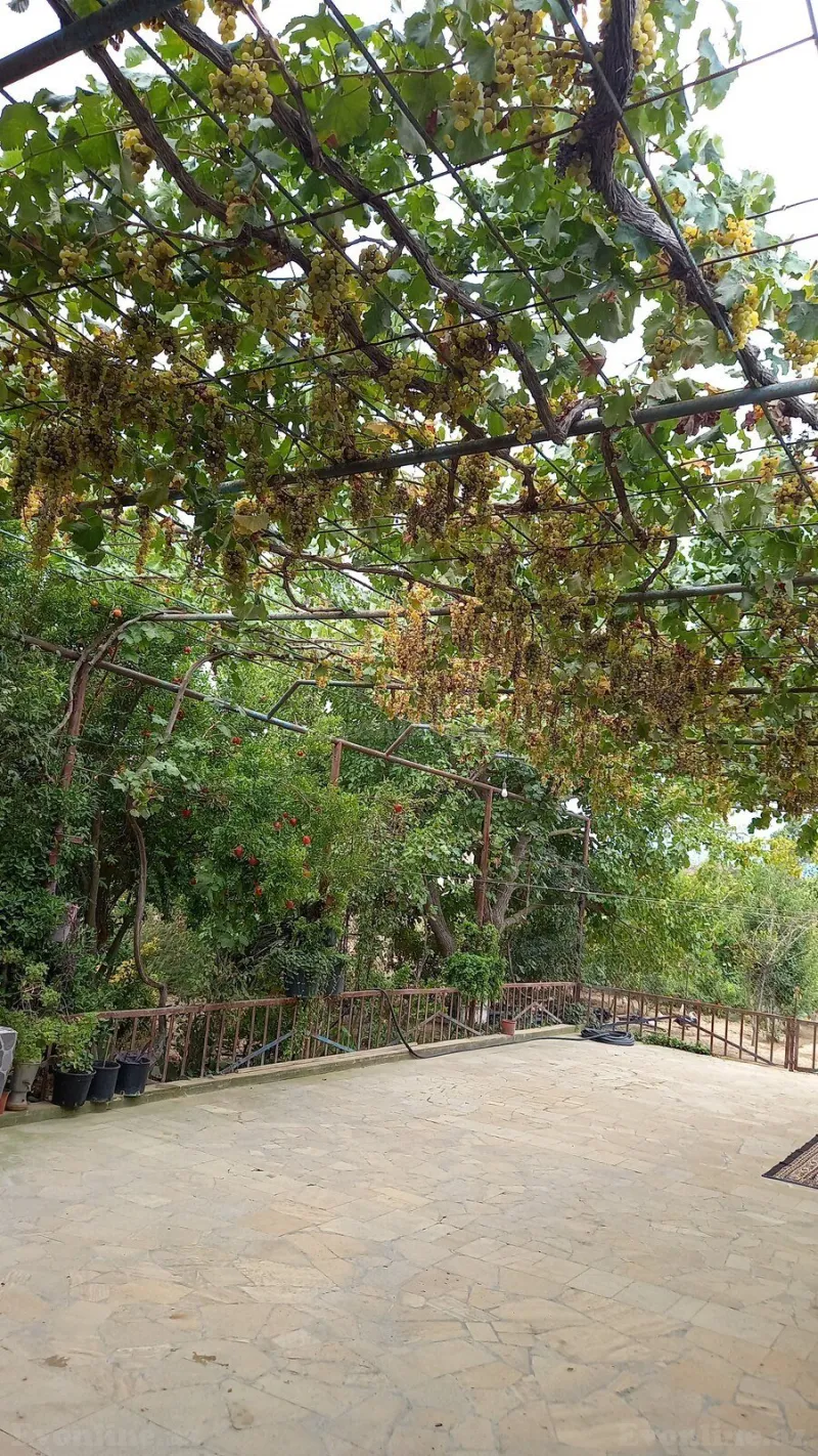 Satılır Torpaq 7 sot Buzovna - şəkil 3