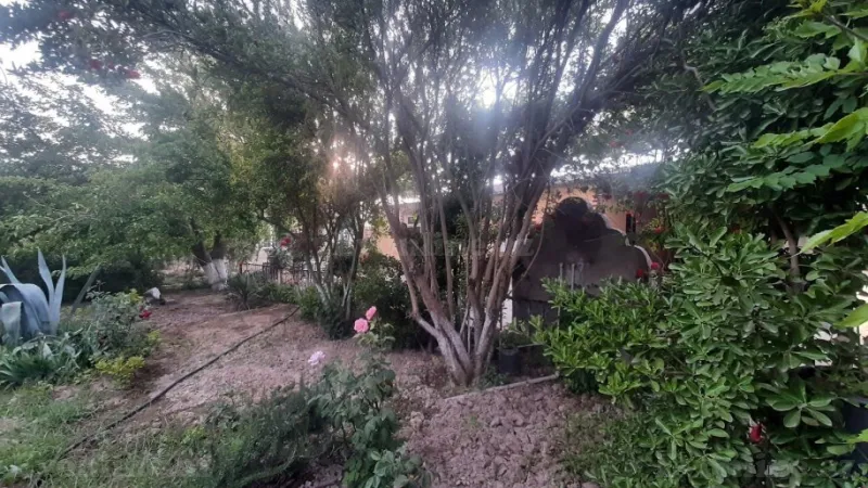 Satılır Torpaq 7 sot Buzovna - şəkil 7