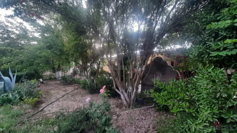 Satılır Torpaq 7 sot Buzovna - şəkil 8