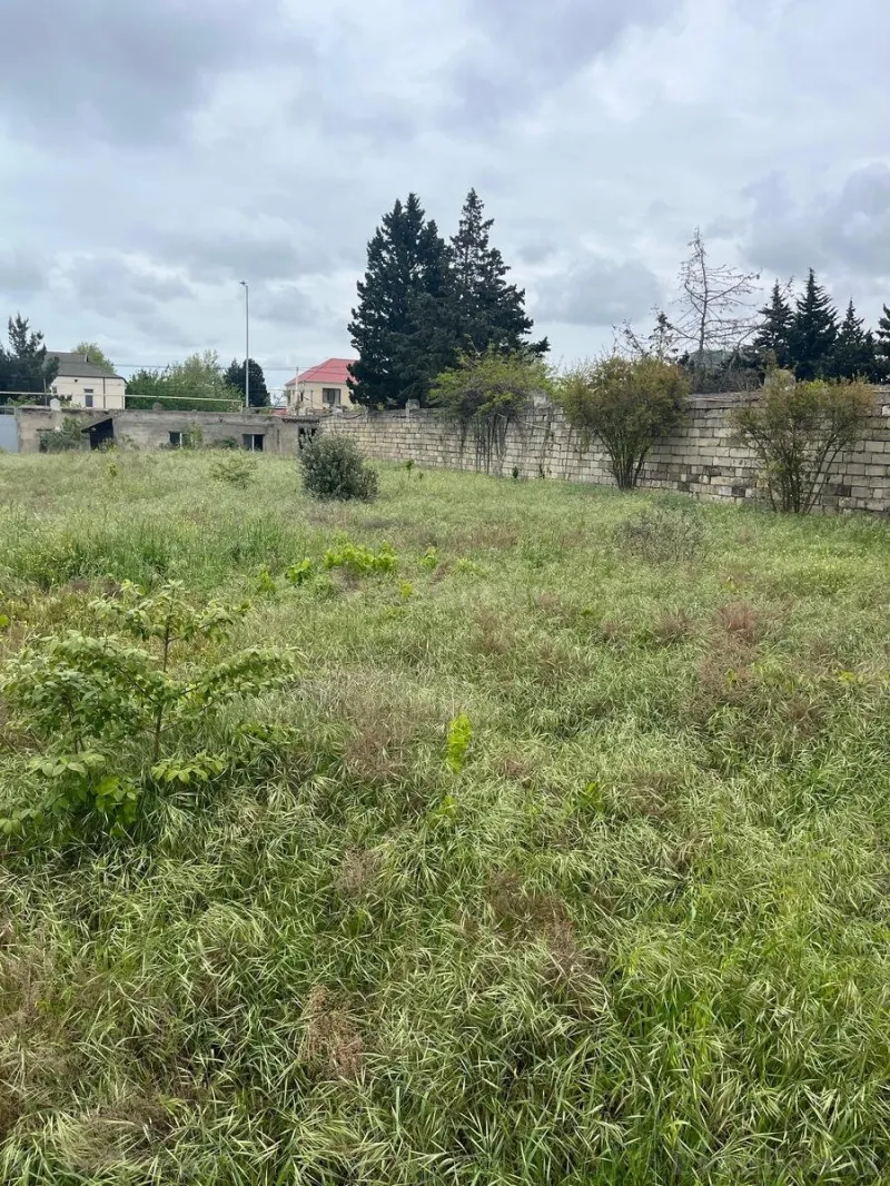 Satılır Torpaq 11 sot Novxanı