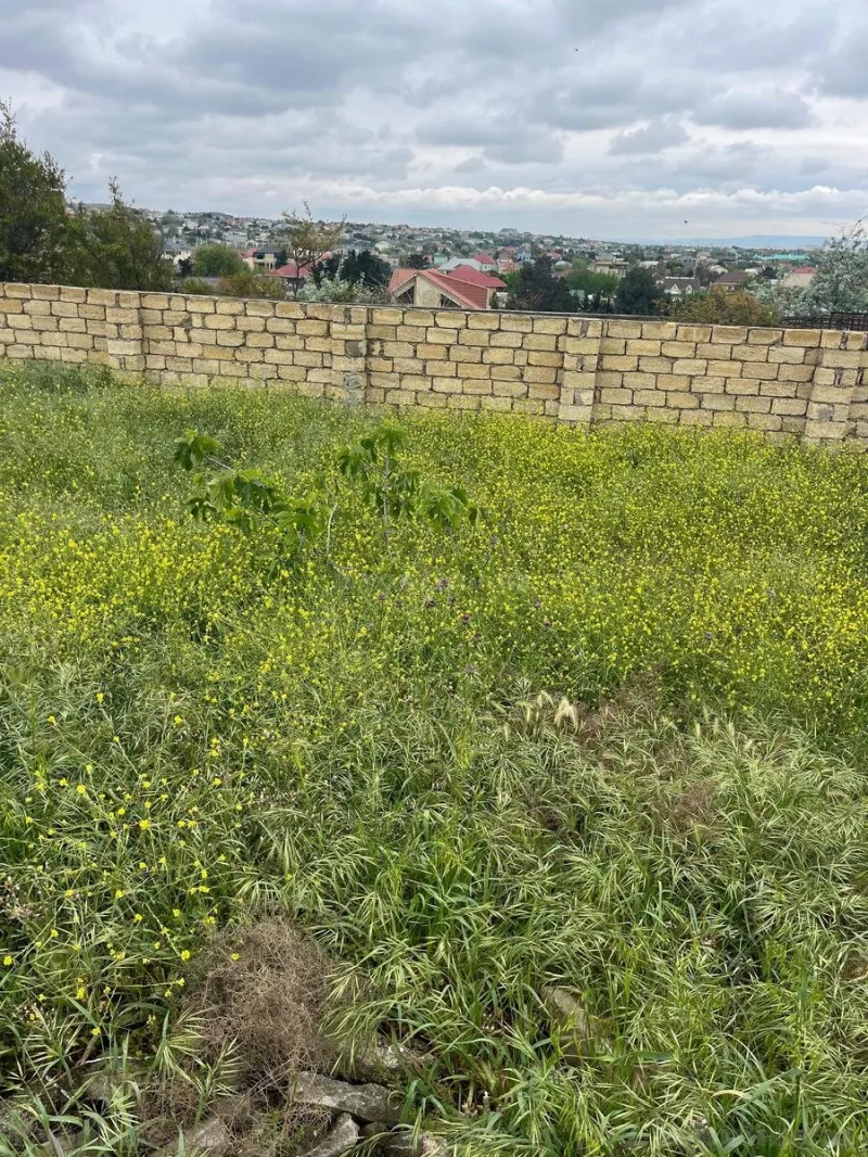 Satılır Torpaq 11 sot Novxanı - şəkil 2