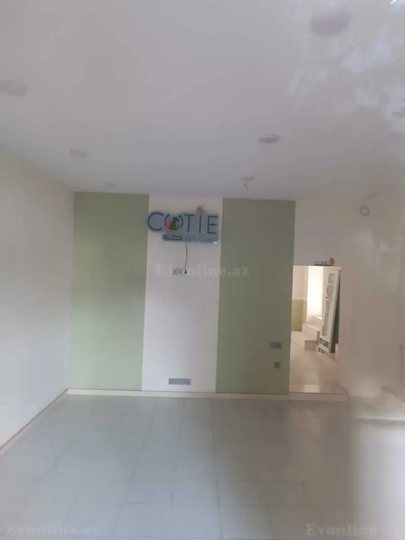 Kirayə verilir Obyekt 30 m² Yasamal - şəkil 4