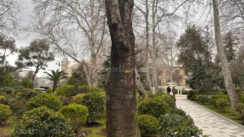 Kirayə verilir 3 otaqlı Mənzil Köhnə tikili 100 m² İçərişəhər m. - şəkil 13