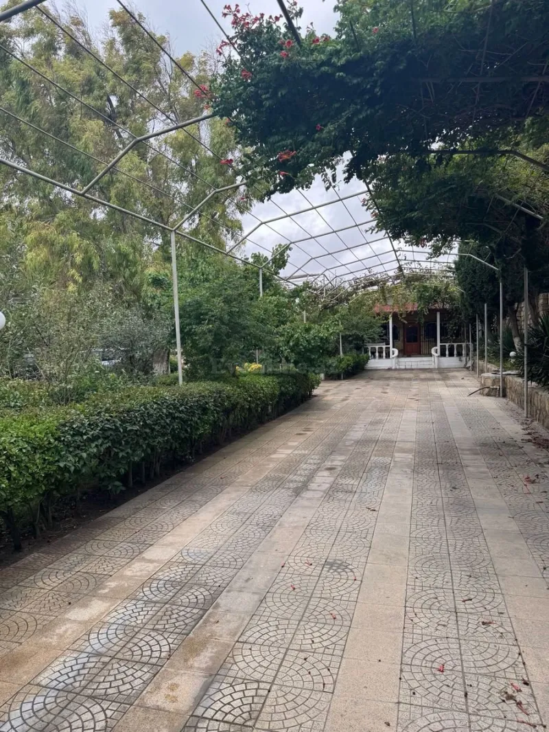 Satılır Torpaq 14 sot Bilgəh