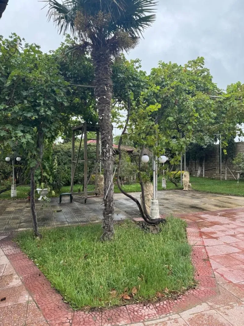 Satılır Torpaq 14 sot Bilgəh - şəkil 2