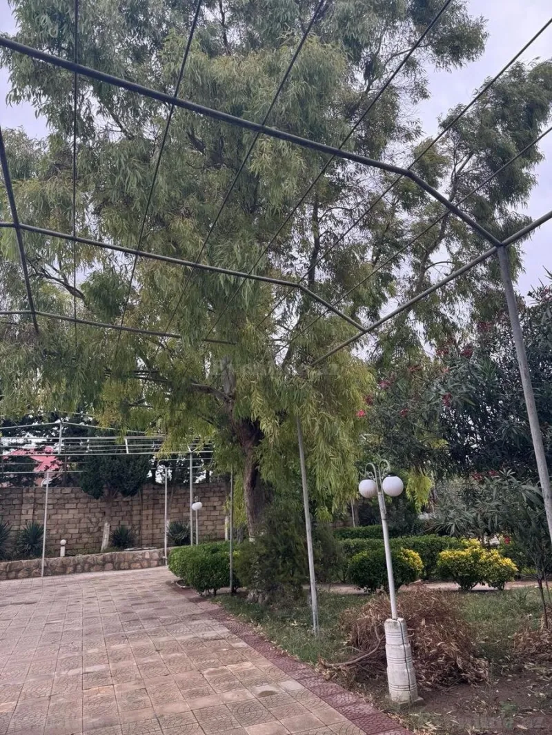 Satılır Torpaq 14 sot Bilgəh - şəkil 3