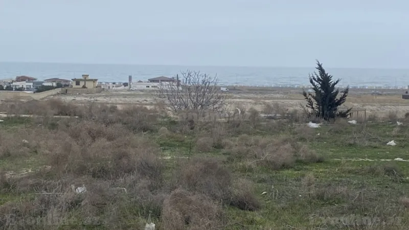 Satılır Torpaq 24 sot Novxanı - şəkil 4