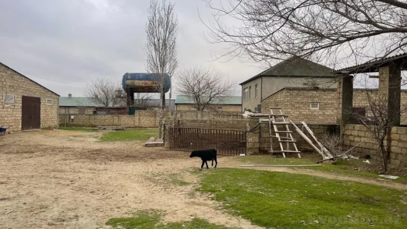 Satılır Obyekt 1000 m² Sabunçu r. - şəkil 8