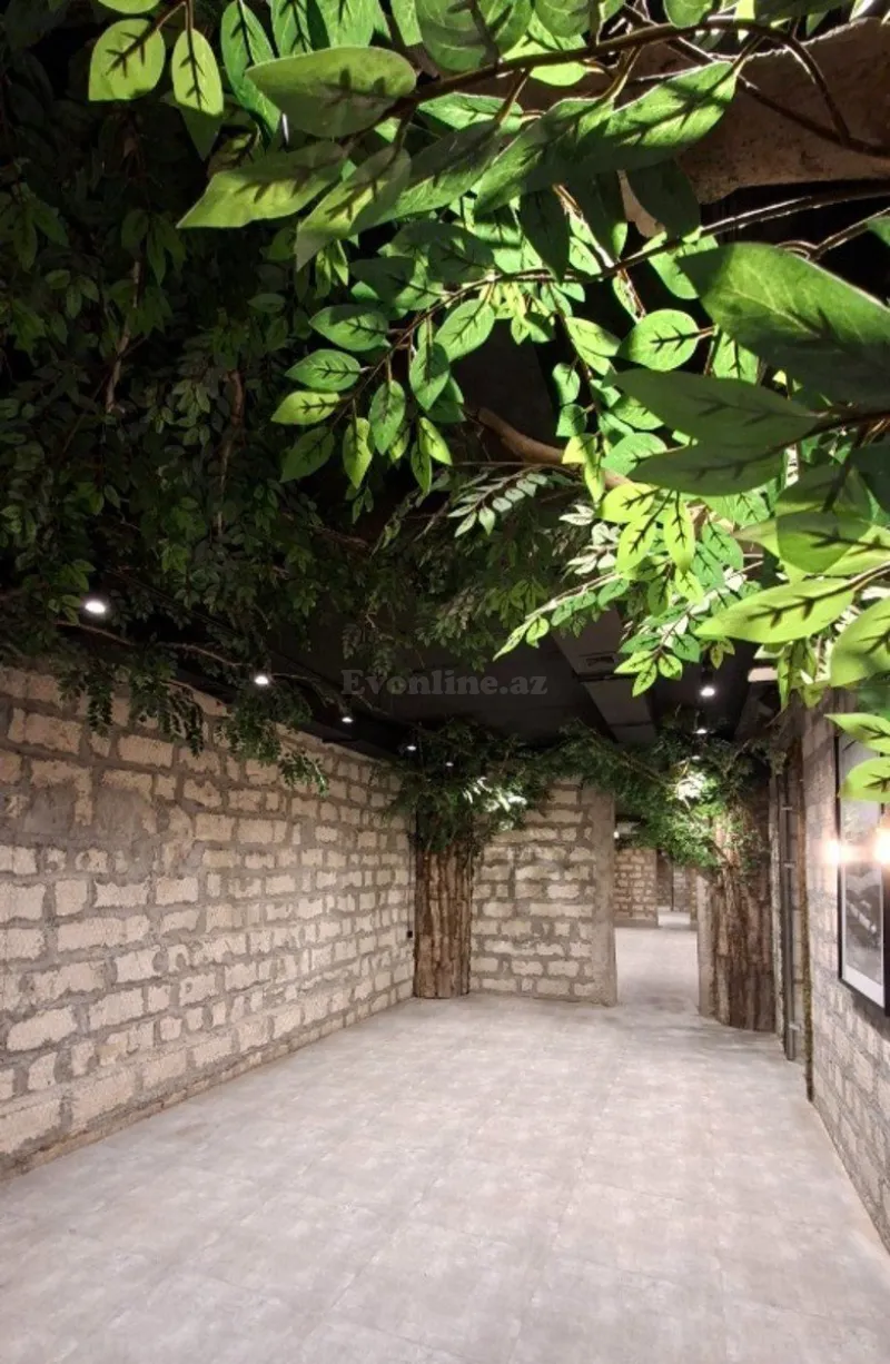 Kirayə verilir Obyekt 412 m² Sahil m. - şəkil 22