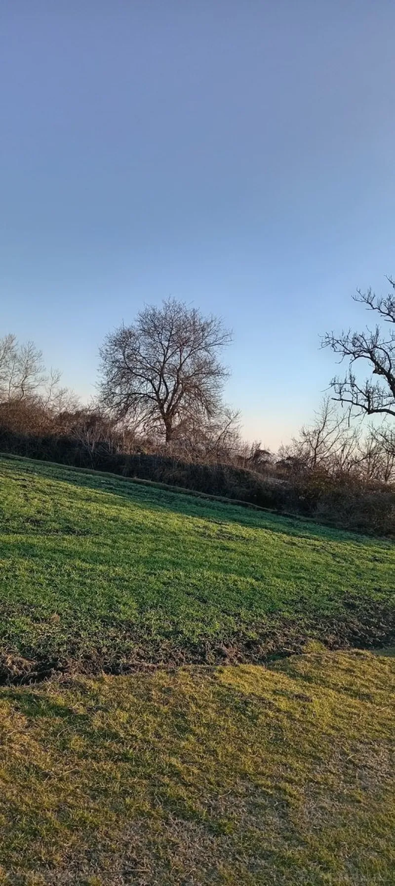 Satılır Torpaq 1.7 sot Qəbələ - şəkil 2